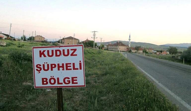 Hatay’da kuduz: 4 mahalle karantinada