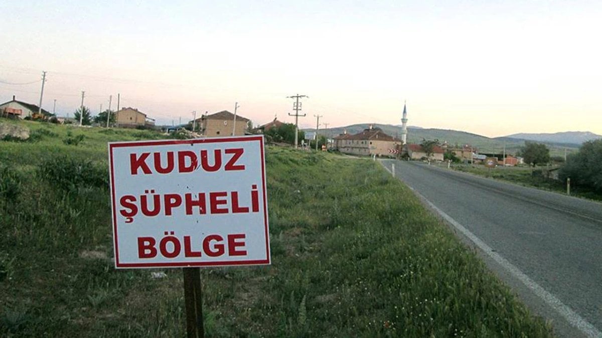 Hatay’da kuduz: 4 mahalle karantinada