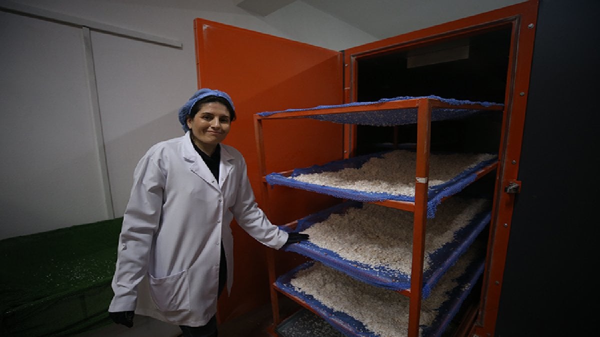 Yumurta kabuğu deyip geçmedi, kendi işinin sahibi oldu! Önce Fransaya gidiyor, oradan tüm Avrupa’ya yayılıyor