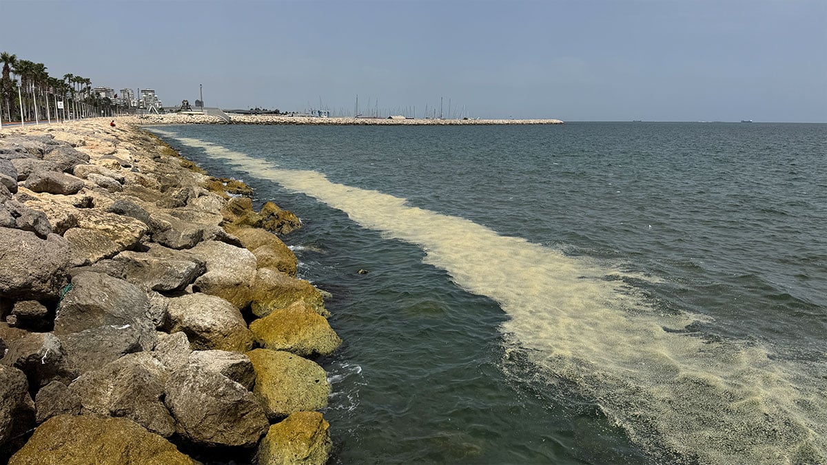 Mersin sahilinde ekosistem alarmı: 300 metrelik biyokütle birikimi tespit edildi