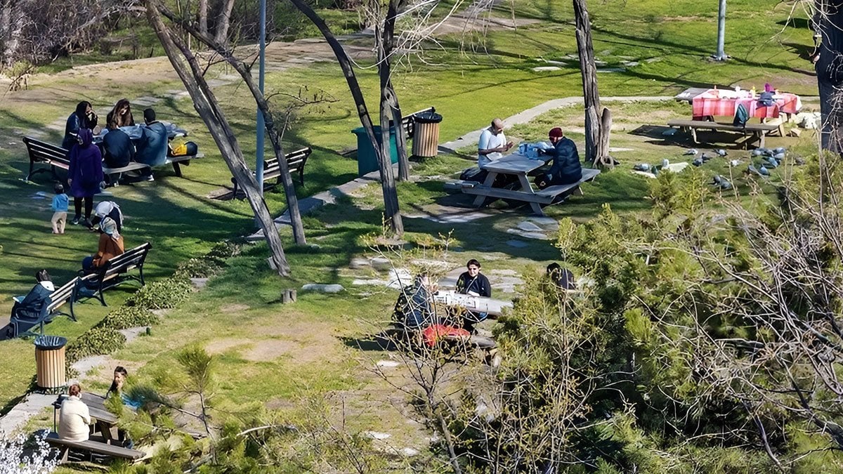 Havalar ısındı, kabus geri döndü: Sakın dokunmayın! Yeşil alanların fazla olduğu yerlerde dikkatli olun