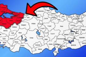 Korkulan oldu! İstila Marmara’ya sıçradı: 3 yıldır Karadeniz’i perişan eden böcek Bursa’yı sardı