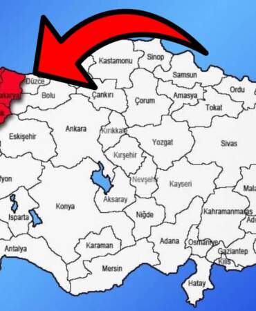 Korkulan oldu! İstila Marmara’ya sıçradı: 3 yıldır Karadeniz’i perişan eden böcek Bursa’yı sardı