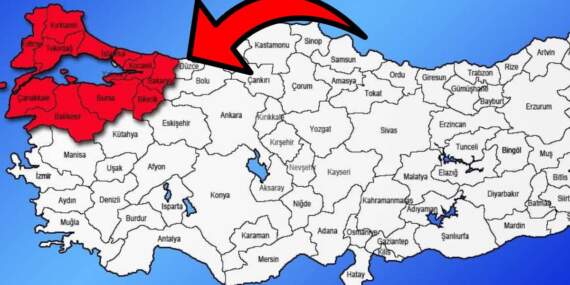 Korkulan oldu! İstila Marmara’ya sıçradı: 3 yıldır Karadeniz’i perişan eden böcek Bursa’yı sardı