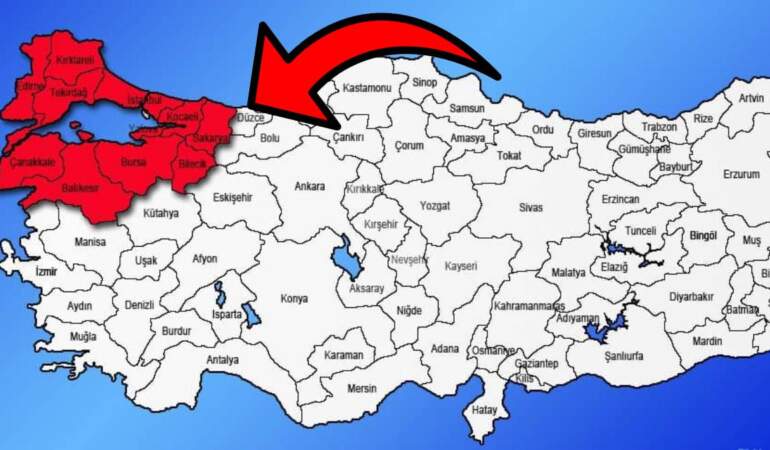 Korkulan oldu! İstila Marmara’ya sıçradı: 3 yıldır Karadeniz’i perişan eden böcek Bursa’yı sardı