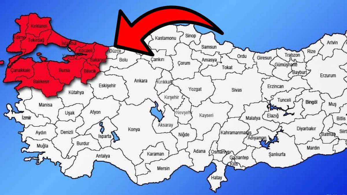 Korkulan oldu! İstila Marmara’ya sıçradı: 3 yıldır Karadeniz’i perişan eden böcek Bursa’yı sardı