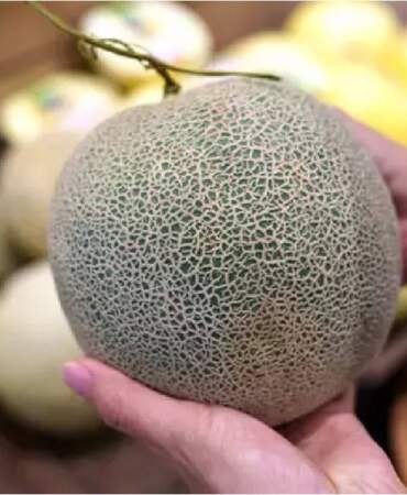 Yaz gelmeden tüyo geldi! En tatlı kavun nasıl seçilir? İşte market ve pazarda kullanacağınız taktikler…