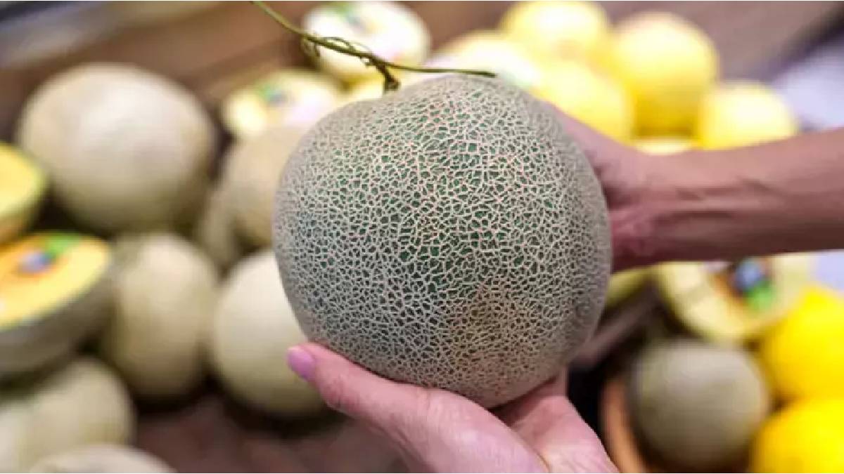Yaz gelmeden tüyo geldi! En tatlı kavun nasıl seçilir? İşte market ve pazarda kullanacağınız taktikler…