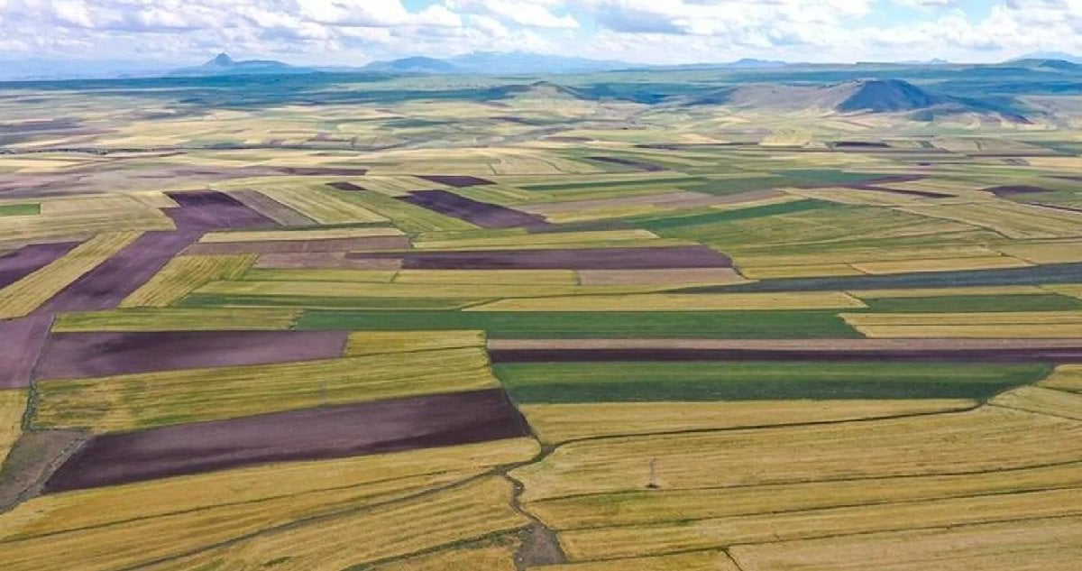Resmi Gazete’de yayımlandı: Beş ilde arsa satışı başladı