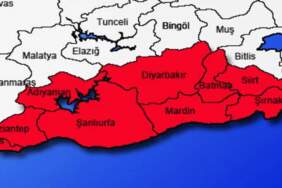 Güneydoğu bölgesine kırmızılı alarm verildi! Uzmanlar üstüne basa basa uyardı: O korkunç yaratık bölgeyi istila etti
