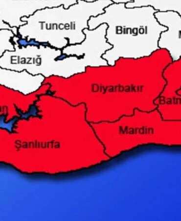 Güneydoğu bölgesine kırmızılı alarm verildi! Uzmanlar üstüne basa basa uyardı: O korkunç yaratık bölgeyi istila etti