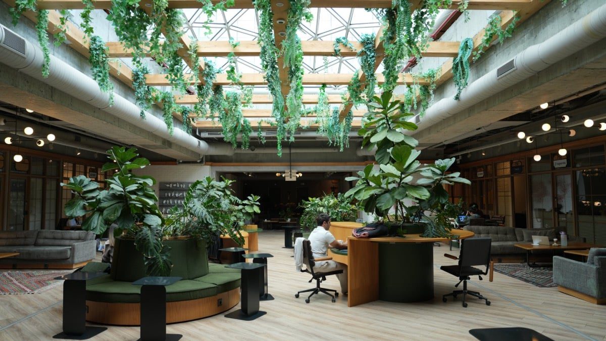 Kolektif House 10 yaşında