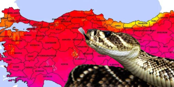 Dünyanın en zehirli yılanı okula girmeye çalışınca ortalık yıkıldı: O illerimizde istila başladı!