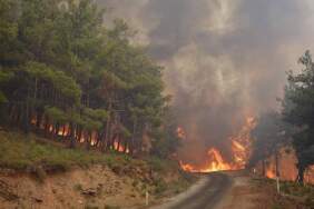 İzmir’de ormanlık alanlara giriş yasağı: 1 Haziran – 31 Ekim