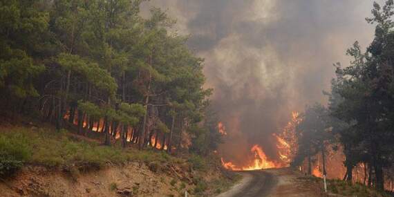 İzmir’de ormanlık alanlara giriş yasağı: 1 Haziran – 31 Ekim