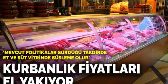 Kurbanlık fiyatları el yakıyor: “Mevcut politikalar sürdüğü takdirde et ve süt vitrinde süsleme olur”