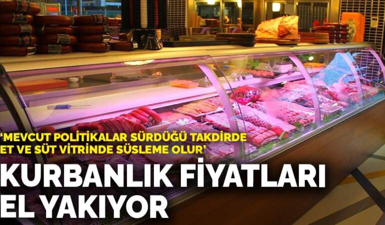 Kurbanlık fiyatları el yakıyor: “Mevcut politikalar sürdüğü takdirde et ve süt vitrinde süsleme olur”