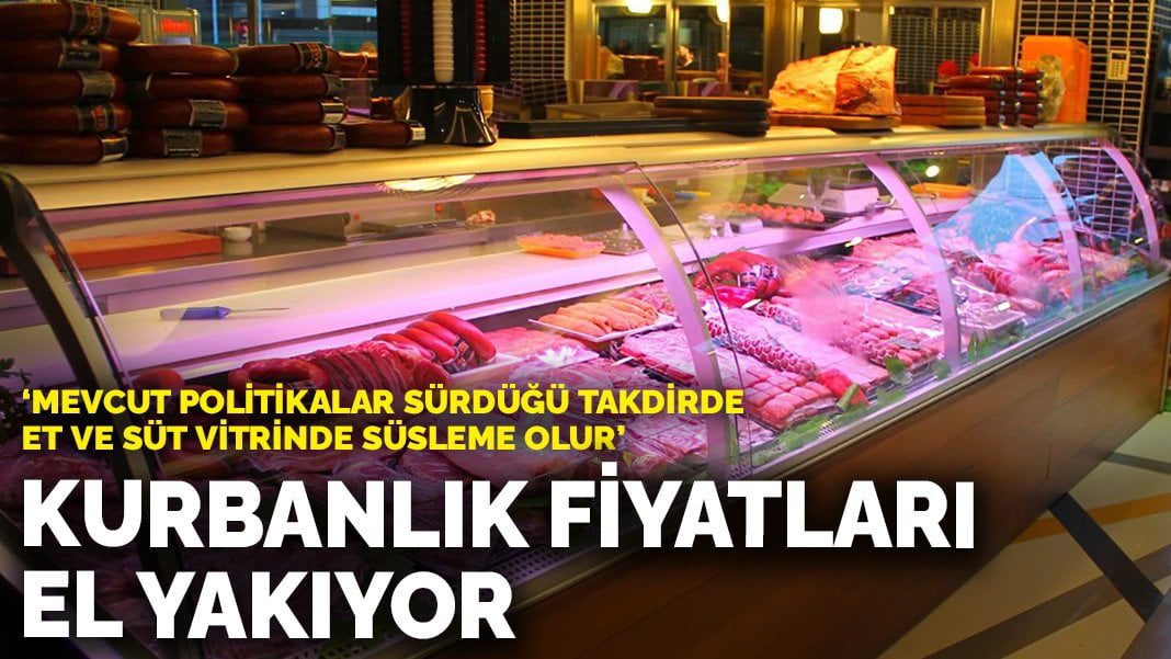 Kurbanlık fiyatları el yakıyor: “Mevcut politikalar sürdüğü takdirde et ve süt vitrinde süsleme olur”
