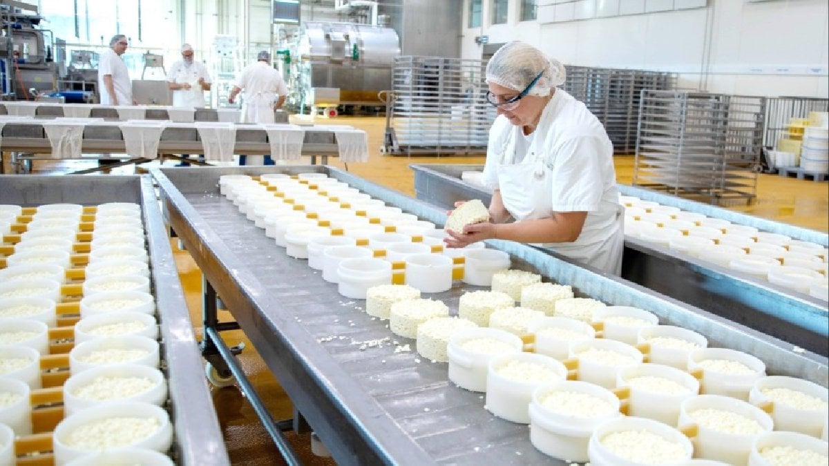 Sakın tüketmeyin! Ünlü peynir markasında toplatma kararı: Sağlık riski taşıyor
