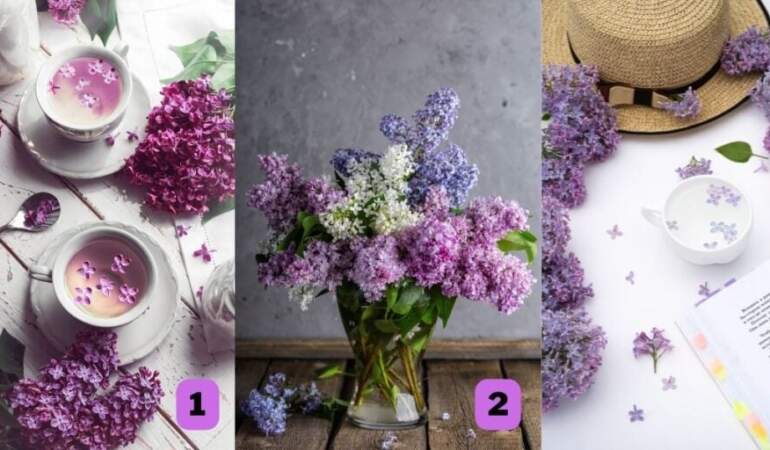 Kişilik testi: Zayıf yönleriniz neler? Bu 3 leylak fotoğrafından birini seçerek öğrenin!