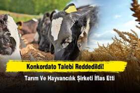 Herkes güvenle alışveriş yapıyordu: Türkiye’nin tarım ve hayvancılık firması iflas etti!