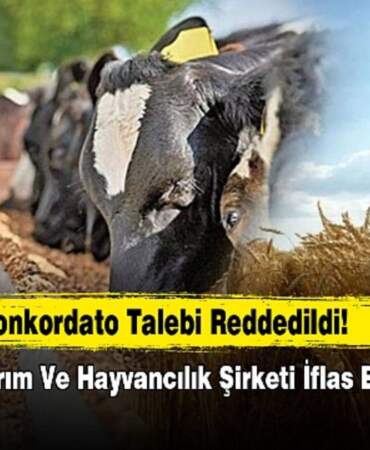 Herkes güvenle alışveriş yapıyordu: Türkiye’nin tarım ve hayvancılık firması iflas etti!