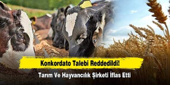 Herkes güvenle alışveriş yapıyordu: Türkiye’nin tarım ve hayvancılık firması iflas etti!