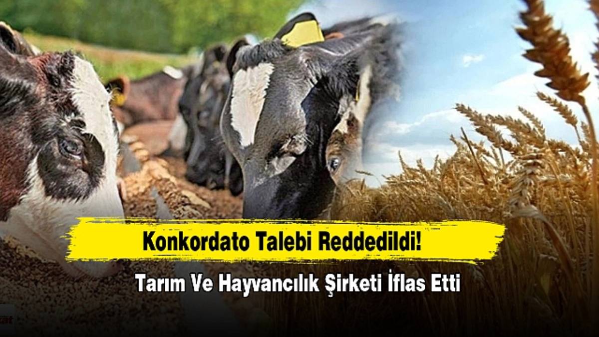 Herkes güvenle alışveriş yapıyordu: Türkiye’nin tarım ve hayvancılık firması iflas etti!