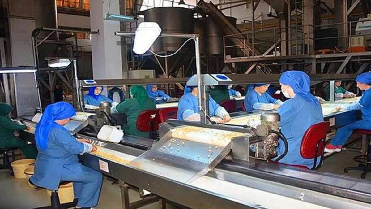 87 yıllık Türk devi iflas bayrağını çekti! Borç batağına saplandı