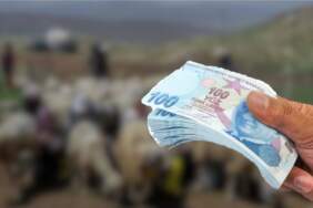 Aylık 50.000 TL maaş var ama eleman yok! Patronlar işi bilenin peşinde: ‘Altın gibi meslek’