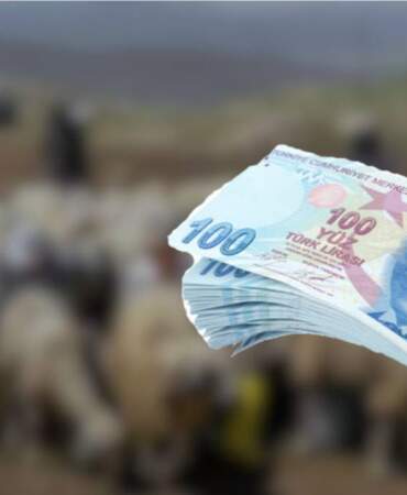 Aylık 50.000 TL maaş var ama eleman yok! Patronlar işi bilenin peşinde: ‘Altın gibi meslek’