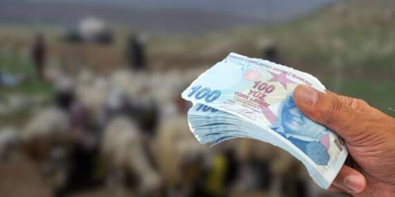 Aylık 50.000 TL maaş var ama eleman yok! Patronlar işi bilenin peşinde: ‘Altın gibi meslek’