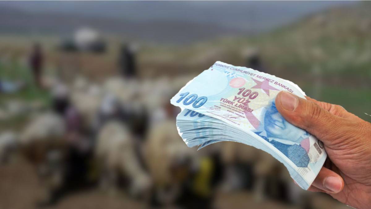 Aylık 50.000 TL maaş var ama eleman yok! Patronlar işi bilenin peşinde: ‘Altın gibi meslek’