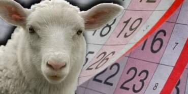 2025 KURBAN BAYRAMI TATİLİ 9 GÜN MÜ? Bakan Ersoy’dan Açıklama Geldi: Kurban Bayramı Kaç Gün Olacak?