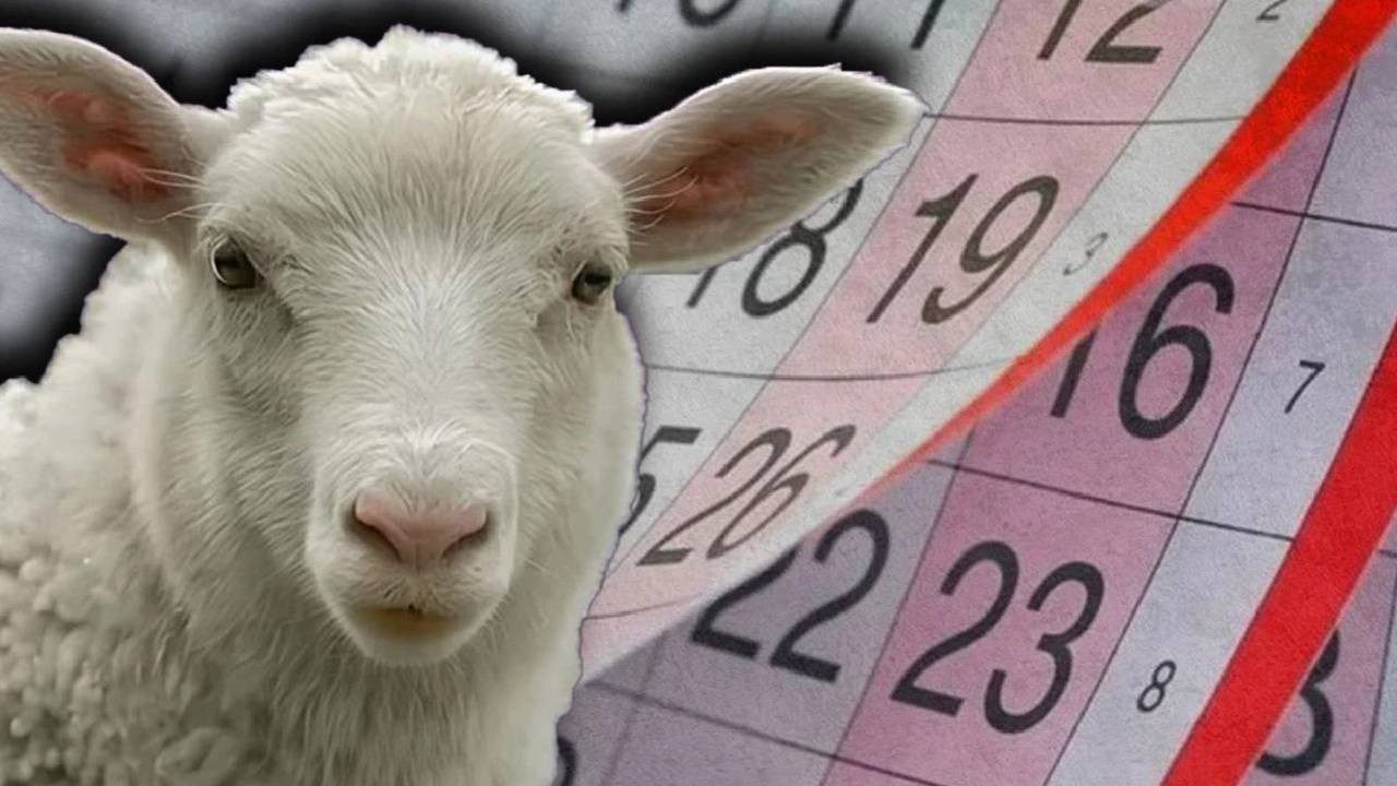 2025 KURBAN BAYRAMI TATİLİ 9 GÜN MÜ? Bakan Ersoy’dan Açıklama Geldi: Kurban Bayramı Kaç Gün Olacak?