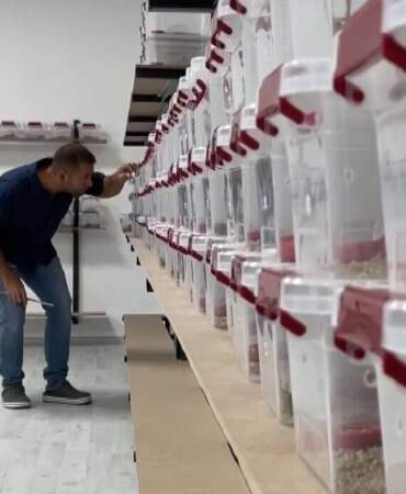 3 Ayda Tamamladı, 1 Dakikada Servet Kazandı! Her Ay Topluyor, Paraya Para Demiyor