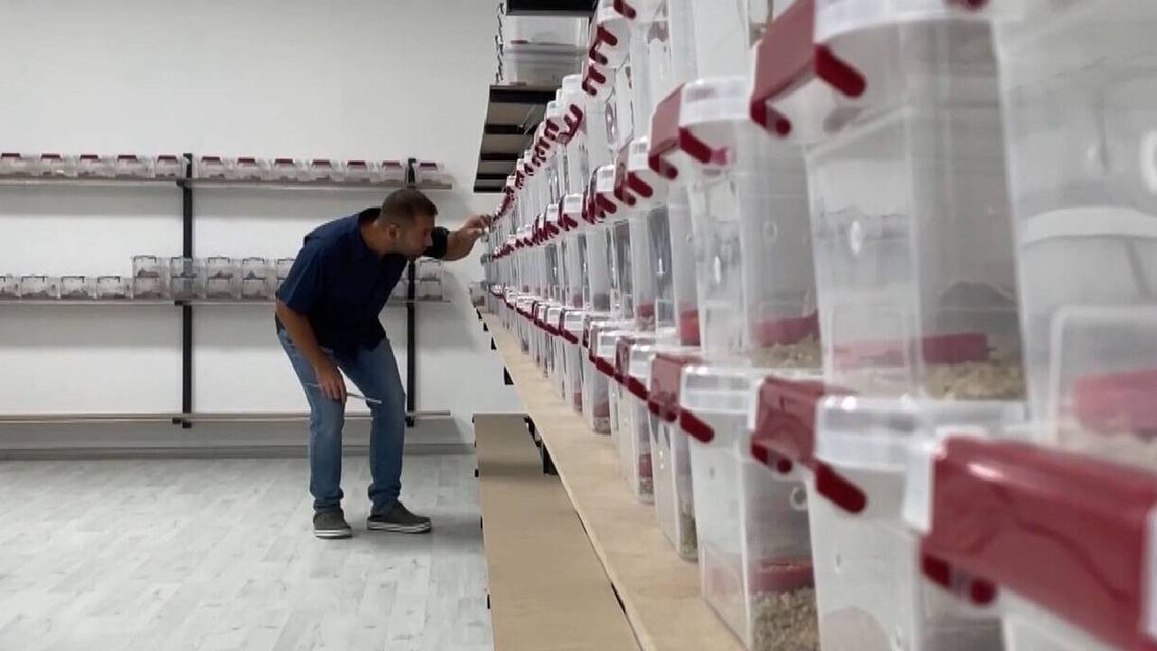 3 Ayda Tamamladı, 1 Dakikada Servet Kazandı! Her Ay Topluyor, Paraya Para Demiyor