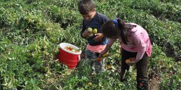 5 Çocuktan 1’i Okula Aç Gidiyor, En Az 1 Gün Yemek Yiyemiyorlar