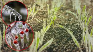 65 İli Esir Aldı Zarar Yüzde 100! ‘6 Şubat Depremi Gibi’… Felaketin Sayısı Bini Aştı