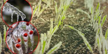 65 İli Esir Aldı Zarar Yüzde 100! ‘6 Şubat Depremi Gibi’… Felaketin Sayısı Bini Aştı