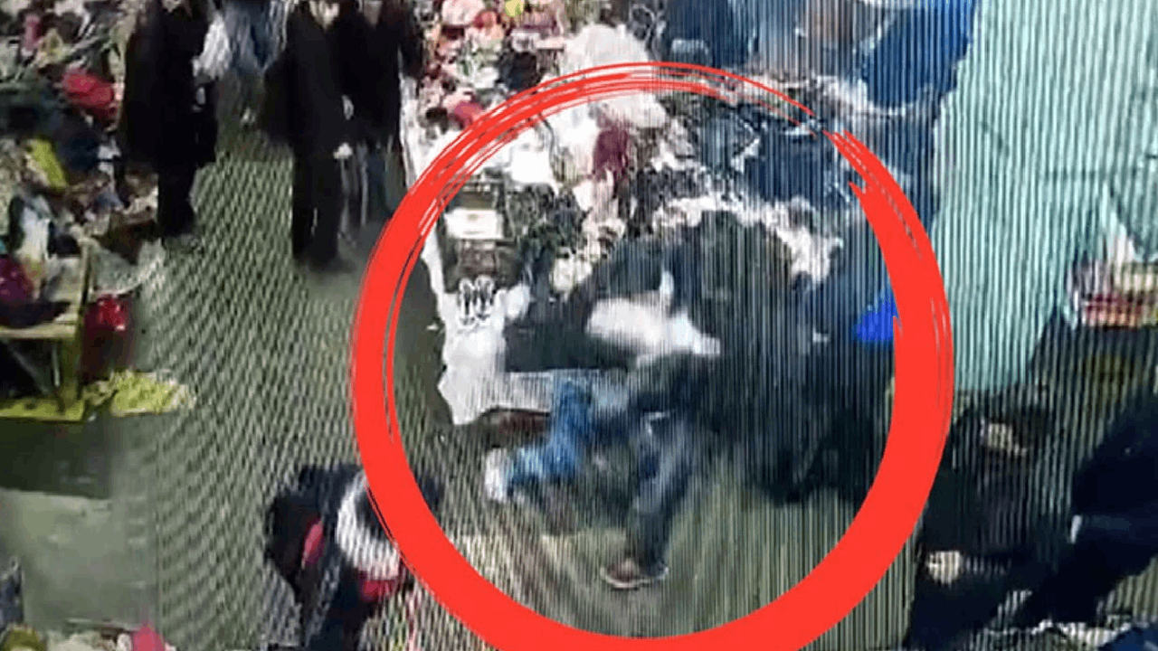 Minguzzi Cinayetinde Şok Gelişmeler: Bıçak ‘Suç Aleti’ Sayılmadı, Kritik Kamera Kayıtları Silindi!