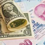 TL Değer Kaybı Sürerken Dolar Kazanma Yolları Nelerdir?