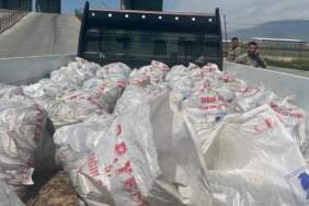 Ağrı’da 2 Ton Kaçak İnci Kefali Ele Bulundu