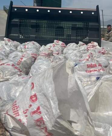 Ağrı’da 2 Ton Kaçak İnci Kefali Ele Bulundu