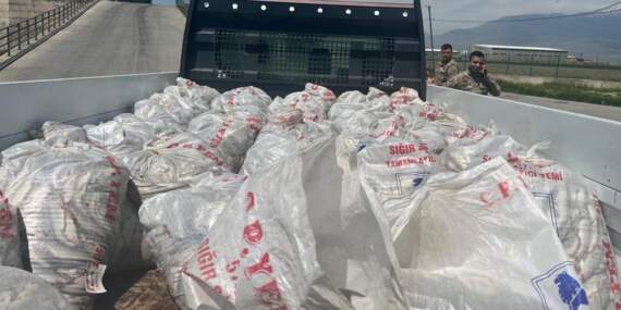 Ağrı’da 2 Ton Kaçak İnci Kefali Ele Bulundu
