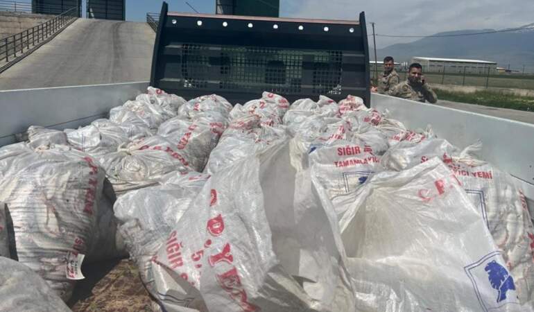 Ağrı’da 2 Ton Kaçak İnci Kefali Ele Bulundu