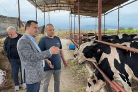 Besiciler Dertli… Taksitli Kurban Satışı Dönemi Başladı