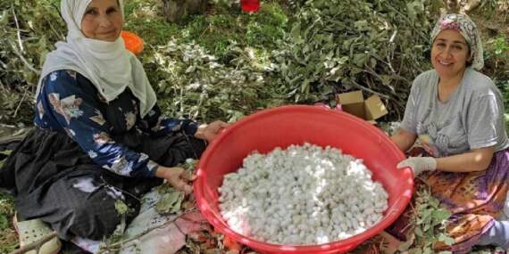 Bu İşe Giren Ayda 100 Bin TL Kazanıyor: 3 Aileyle Başladı, Şimdi Tüm İlçe Köşeyi Döndü