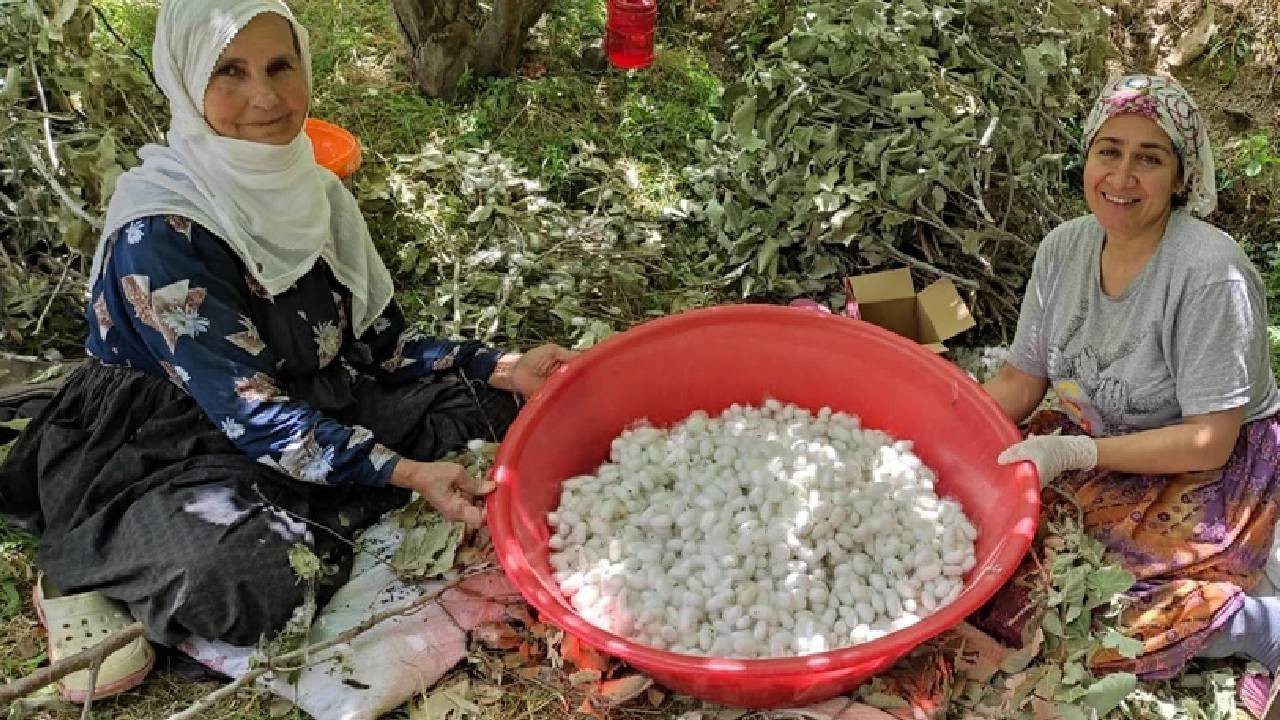 Bu İşe Giren Ayda 100 Bin TL Kazanıyor: 3 Aileyle Başladı, Şimdi Tüm İlçe Köşeyi Döndü