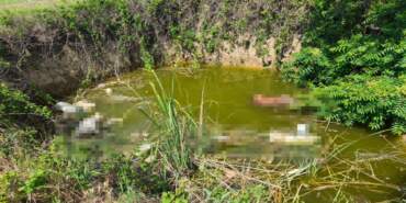 Bu Nasıl Vicdan! Vahşetin Adresi Bu Kez Edirne: Köpeklerin Kafasını Kesip Çukura Attılar